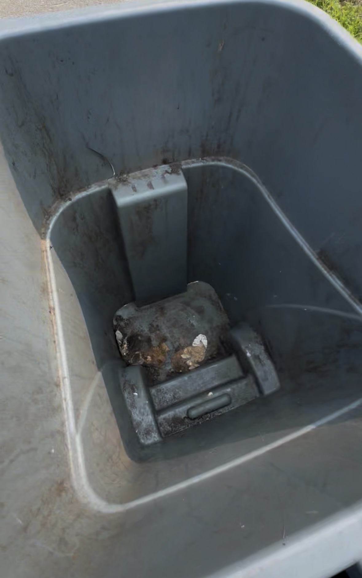 Goodboy Bin Cleaning | Professional Trash Can Cleaning